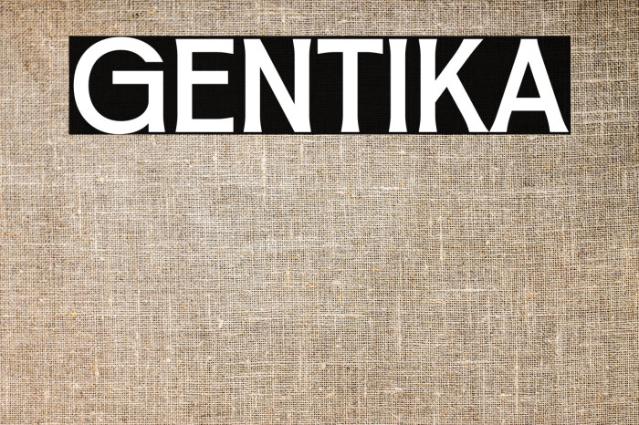 Gentika Example 1