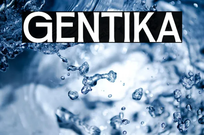Gentika Example 2