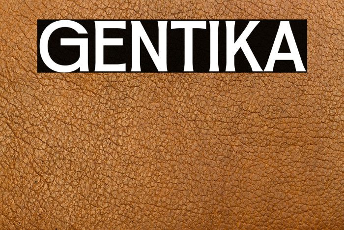 Gentika Example 3
