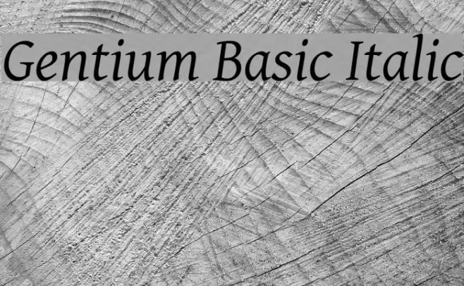 Gentium Basic Italic Font examples
