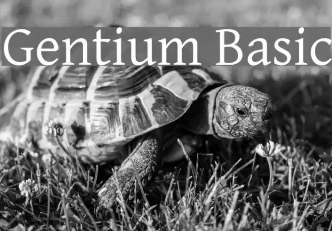 Gentium Basic Font examples