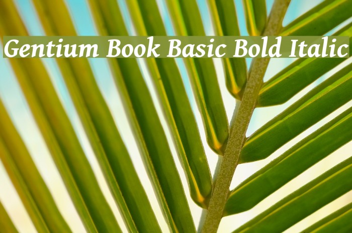 Gentium Book Basic Bold Italic Font examples