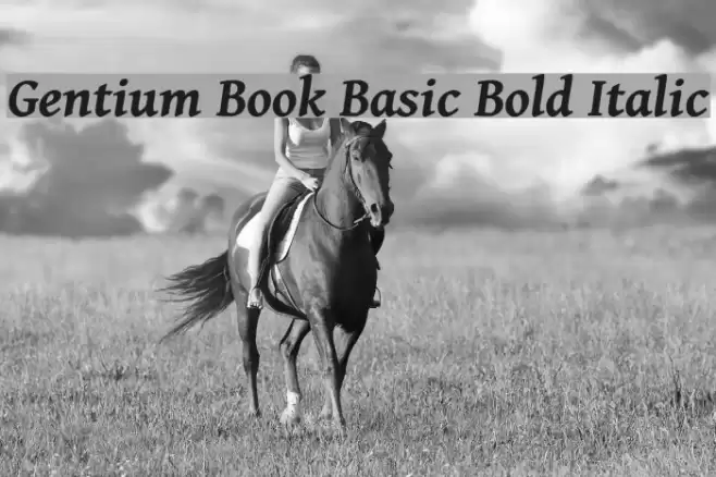 Gentium Book Basic Bold Italic Font examples