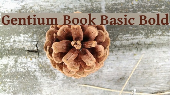 Gentium Book Basic Bold Font examples