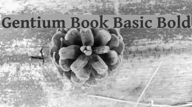 Gentium Book Basic Bold examples