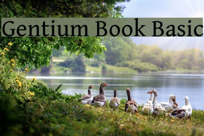 Gentium Book Basic Font examples