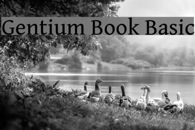 Gentium Book Basic Schriftart examples