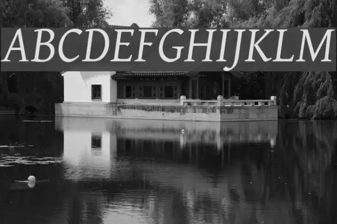 Gentium Italic Font examples