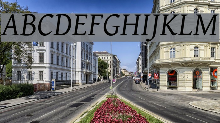 Gentium Italic Font examples