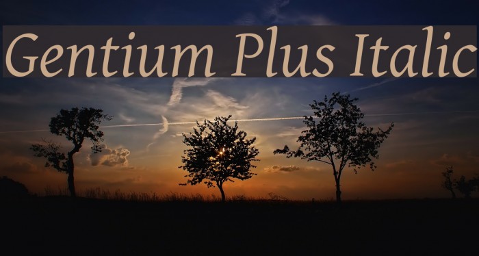 Gentium Plus Italic Font examples