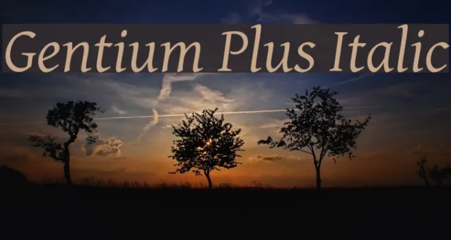 Gentium Plus Italic Example 2