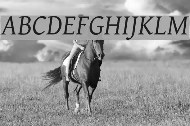 GentiumAlt Italic Font examples