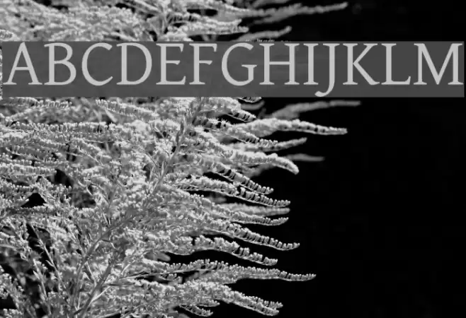 Gentium Font examples