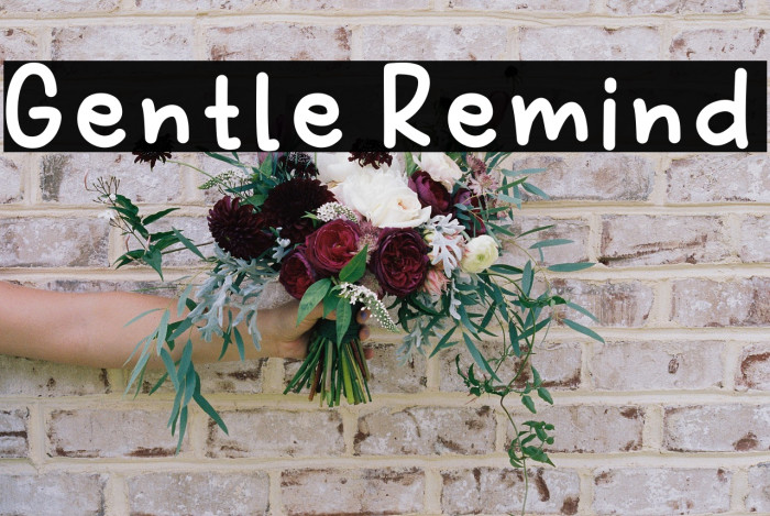 Gentle Remind Example 2
