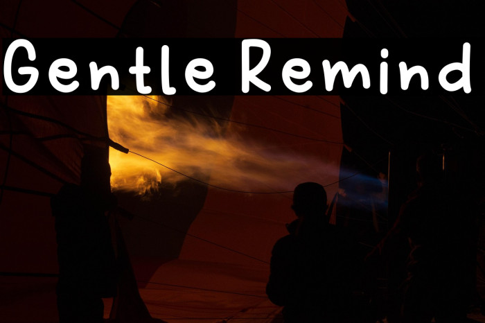 Gentle Remind Example 3