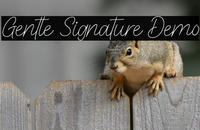 Gentle Signature Demo Example 1