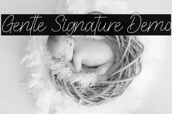 Gentle Signature Demo Font examples