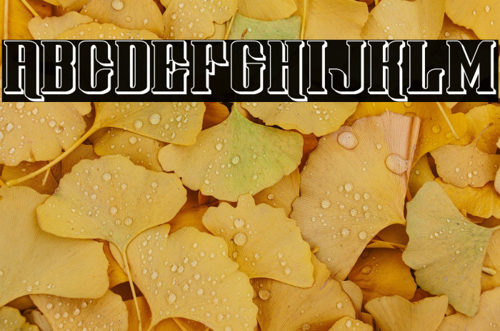 Gentleman Caller 3D Example 2