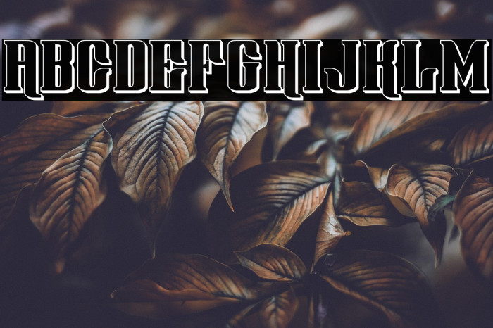 Gentleman Caller 3D Example 3