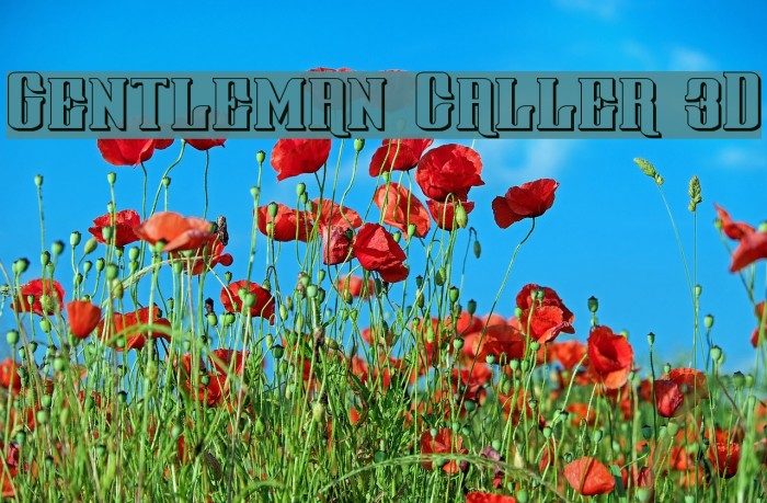 Gentleman Caller 3D Font examples