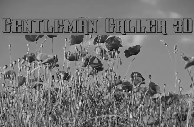 Gentleman Caller 3D Font examples