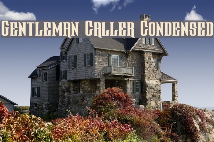 Gentleman Caller Condensed Font examples