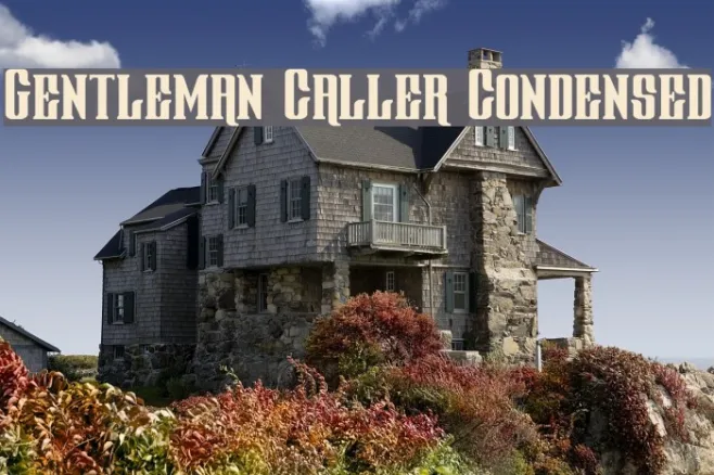 Gentleman Caller Condensed Example 1