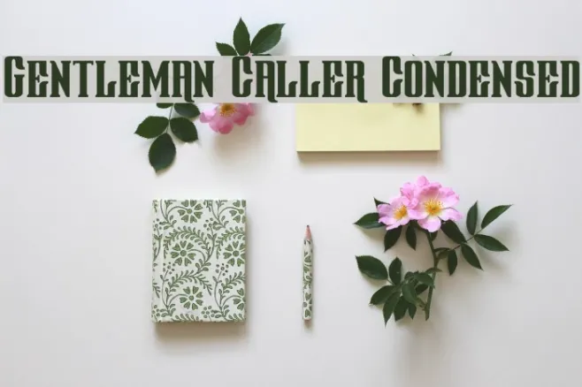 Gentleman Caller Condensed Example 2