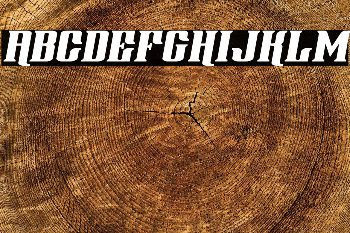 Gentleman Caller Expand Italic Example 2