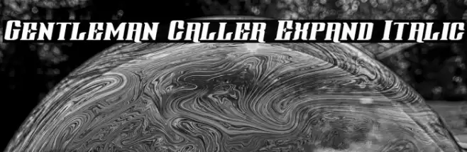 Gentleman Caller Expand Italic Font examples