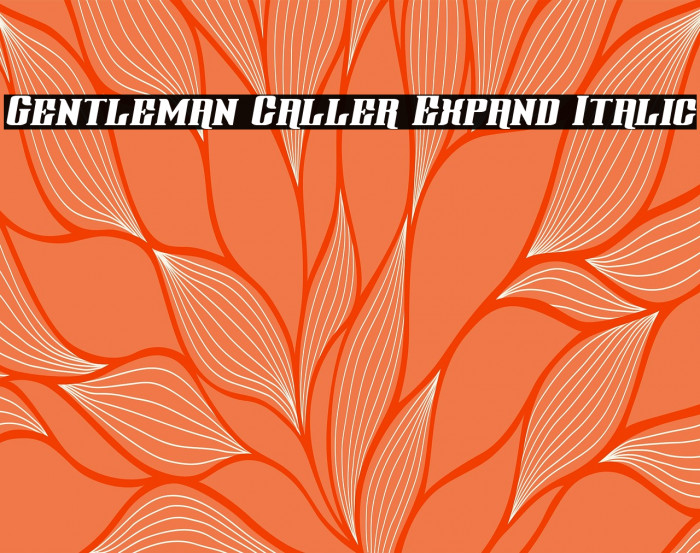 Gentleman Caller Expand Italic Example 2