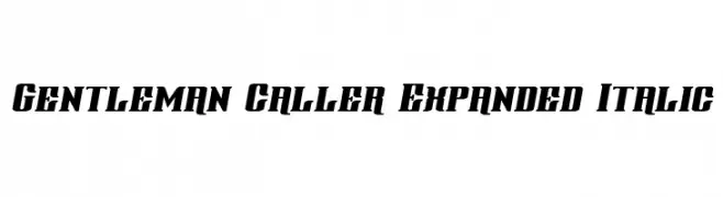 Gentleman Caller Expanded Italic 