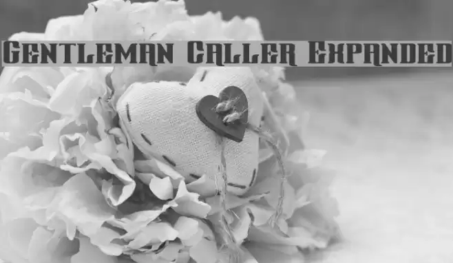 Gentleman Caller Expanded Font examples