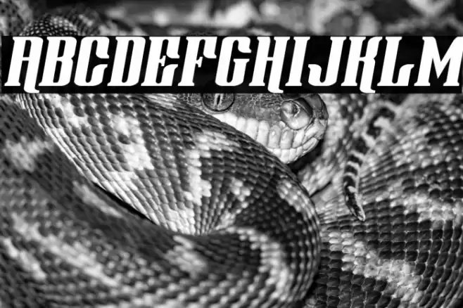 Gentleman Caller Italic Font examples