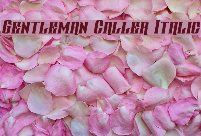 Gentleman Caller Italic Font examples