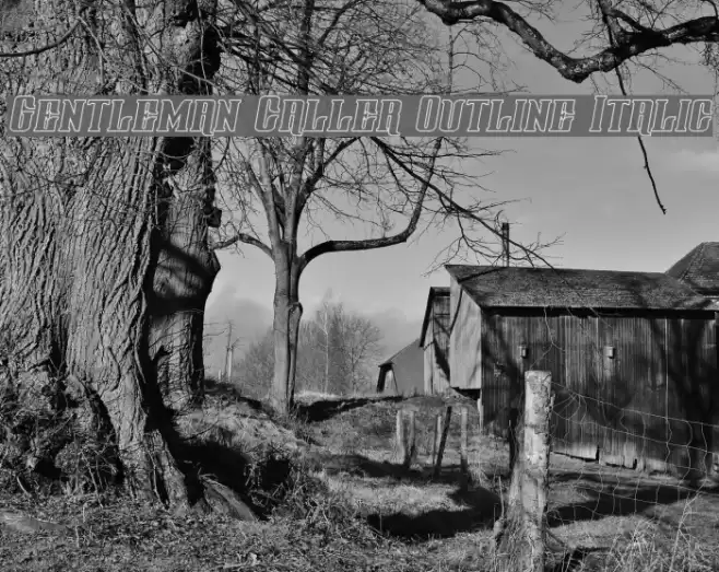 Gentleman Caller Outline Italic Font examples