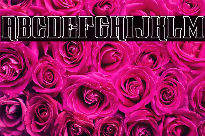 Gentleman Caller Outline Example 3