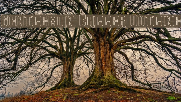 Gentleman Caller Outline Font examples