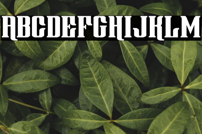 Gentleman Caller Example 3