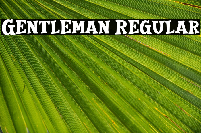 Gentleman Regular Example 1