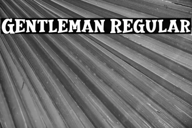 Gentleman Regular Font examples