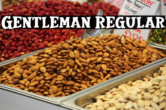 Gentleman Regular Example 2