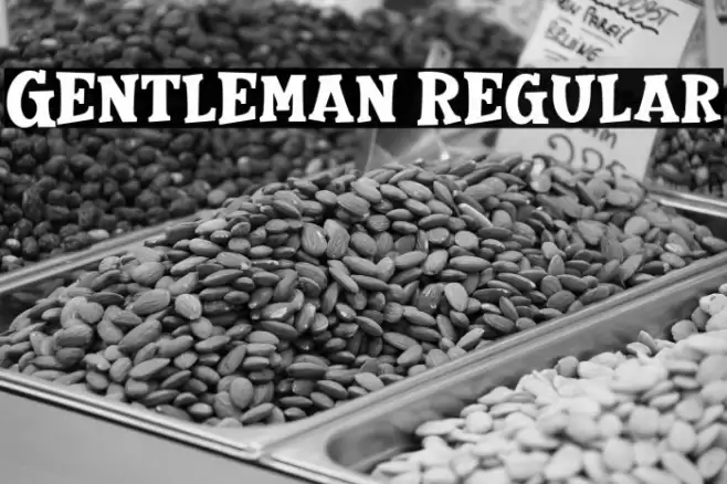 Gentleman Regular Font examples