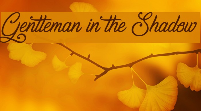 Gentleman in the Shadow Font examples