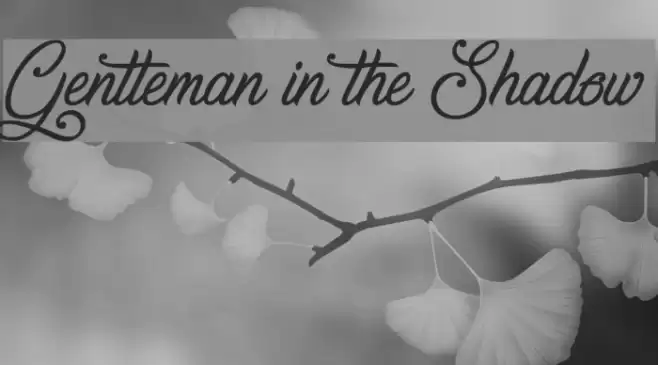 Gentleman in the Shadow फ़ॉन्ट examples