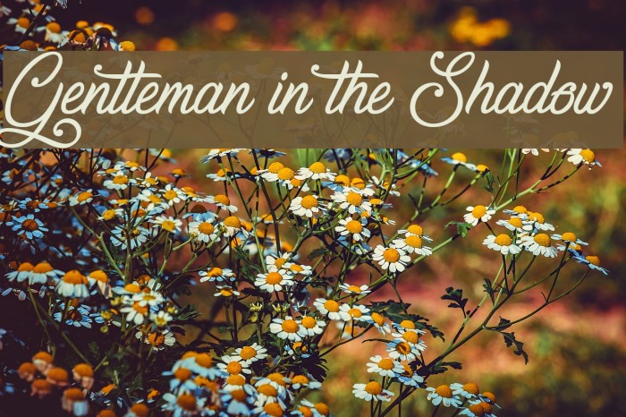 Gentleman in the Shadow Font examples