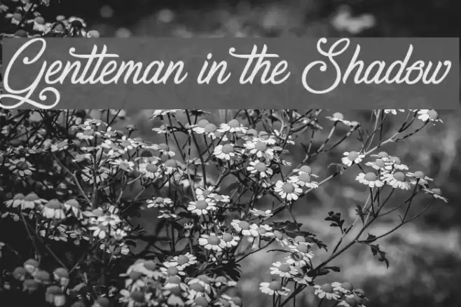 Gentleman in the Shadow फ़ॉन्ट examples
