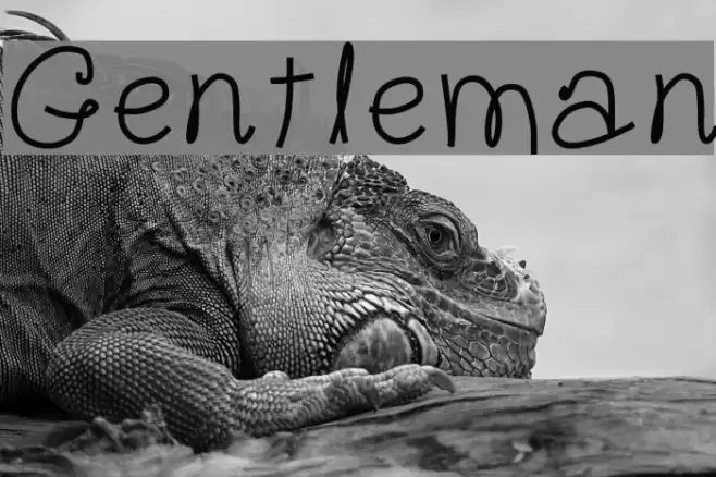 Gentleman Font examples