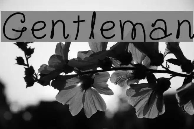 Gentleman Font examples
