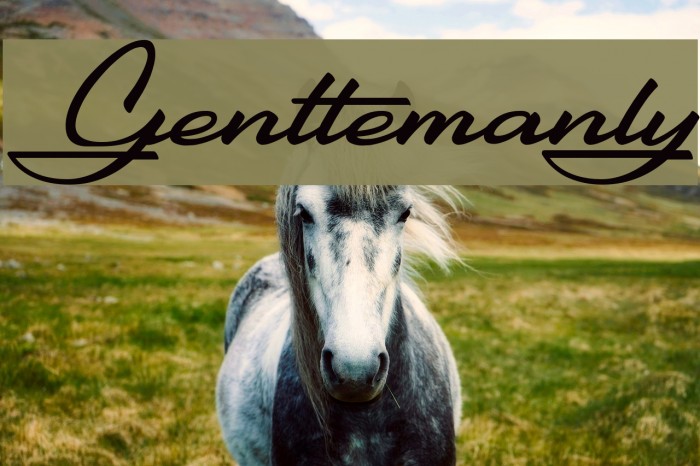 Gentlemanly Font examples